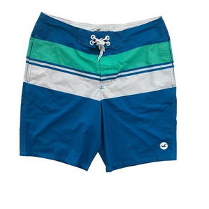 Hollister Men’s‎ Size 32 Blue Swim Shorts